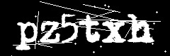 图形验证码