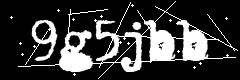 图形验证码