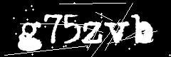 图形验证码