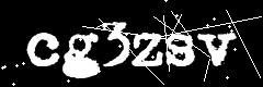图形验证码