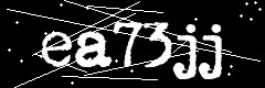 图形验证码