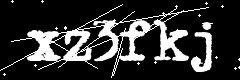 图形验证码