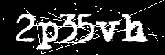 图形验证码