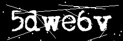 图形验证码