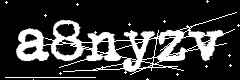 图形验证码