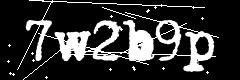 图形验证码
