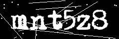 图形验证码
