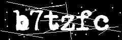 图形验证码